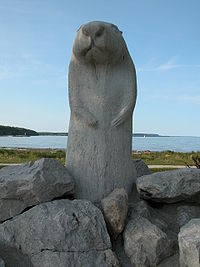 Canadian Groundhog